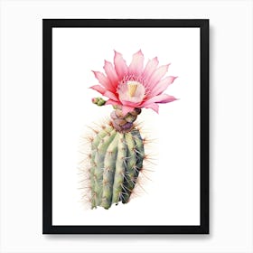 Austrocylindropuntia Subulata Cactus Watercolour Drawing 3 Art Print