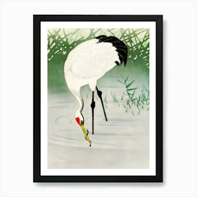 White Crane Art Print