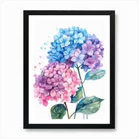 Hydrangeas 3 Art Print