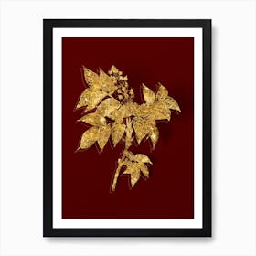 Vintage European Bladdernut Botanical in Gold on Red n.0131 Art Print