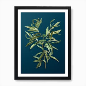 Vintage Sweetfern Botanical Art on Teal Blue n.0454 Art Print