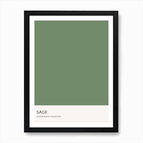Sage Colour Block Poster Art Print