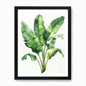 Banana Leaves 34 Art Print