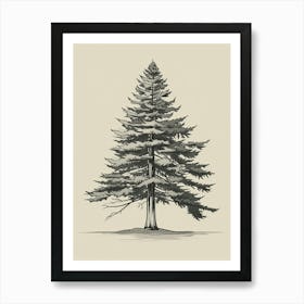 Cedar Tree Minimalistic Drawing 2 Art Print