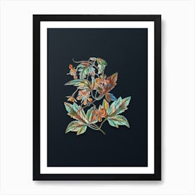 Vintage Red Loasa Flower Botanical Watercolor Illustration on Dark Teal Blue n.0638 Art Print