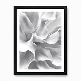 White Dahlia Canvas Print Art Print