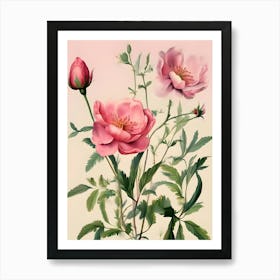 Pink Roses 4 Art Print