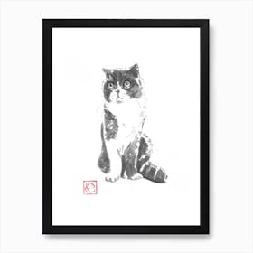 Luna cat Art Print