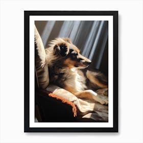 Dog In The Sun Art Print