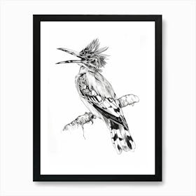 Kingfisher Bird Art Print