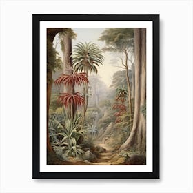 Vintage Jungle Botanical Illustration Cordyline 3 Art Print