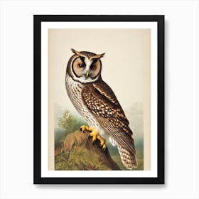 Owl James Audubon Vintage Style Bird Art Print