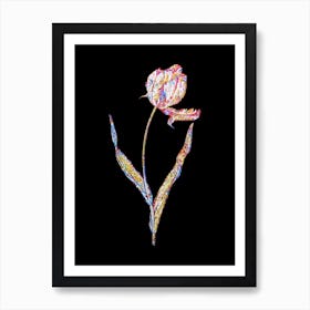 Stained Glass Didier's Tulip Mosaic Botanical Illustration on Black n.0074 Art Print