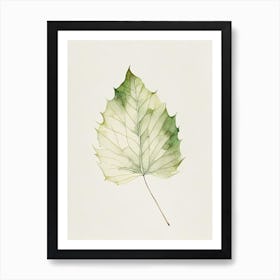 Sycamore Leaf Minimalist Watercolour 2 Art Print