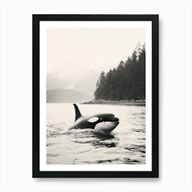 Misty Black & White Orca Whale Forest And Ocean Photography Style 1 Art Print