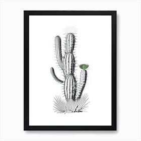Rat Tail Cactus William Morris Inspired 3 Art Print