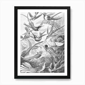 HUMMINGBIRDS 2.0 Black / White Art Print