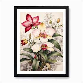 Orchids 9 Art Print