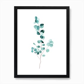 Eucalyptus Art Print