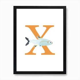 X For Xray Tetra Art Print