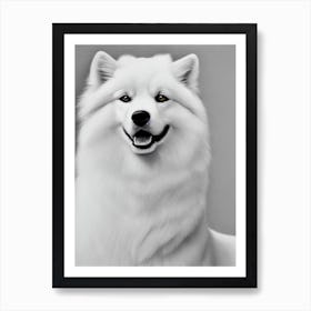 Samoyed B&W Pencil Dog Art Print