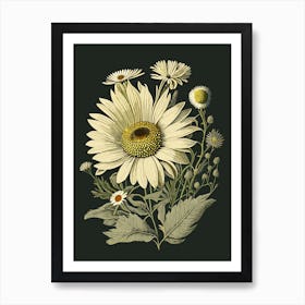 Daisy Wildflower Vintage Botanical 2 Art Print