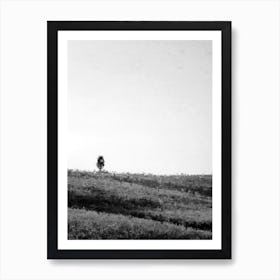 Italy Tuscany Hill Tree Bw Digital Oil Painting Art Print