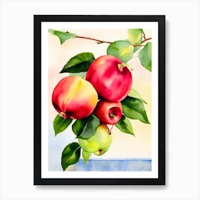 Rose Apple Italian Watercolour fruit Art Print