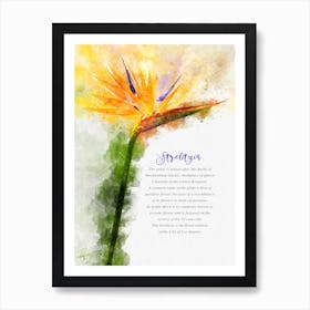 Strelitzia 1 Art Print