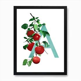 A Apple Art Print