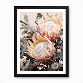 Flower Illustration Protea 2 Art Print