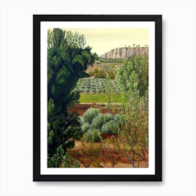 High Mountain Olive Trees Art Print