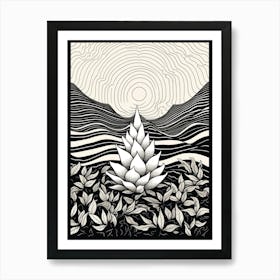 B&W Plant Illustration Haworthia Art Print