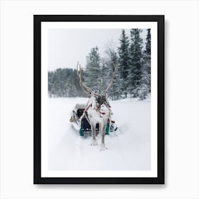 Snowy Reindeer Art Print