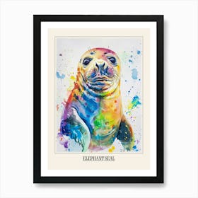 Elephant Seal Colourful Watercolour 4 Poster Art Print