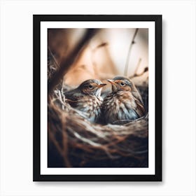 Birds In Nest Art Print