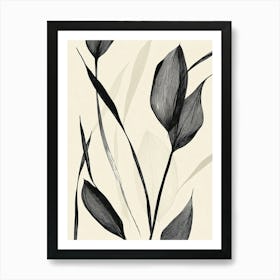 Black And White Leaves Art Print