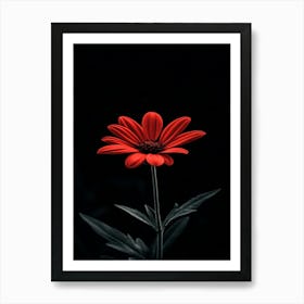 Red Flower 1 Art Print