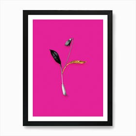 Vintage Erythronium Black and White Gold Leaf Floral Art on Hot Pink n.1223 Art Print