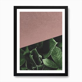 Botanic Rose Art Print