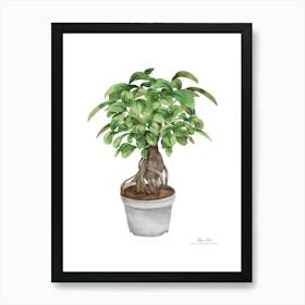 Watercolor Bonsai Tree.A fine artistic print that decorates the place. Art Print