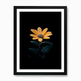 Single Flower In The Dark 4 Art Print