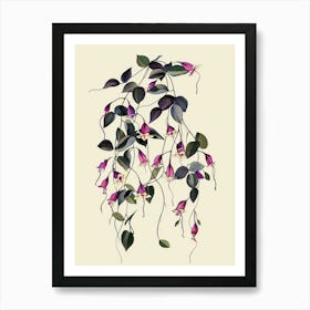 Wandering Jew Plant Minimalist Illustration 4 Art Print