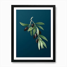 Vintage Olive Tree Branch Botanical Art on Teal Blue n.0708 Art Print