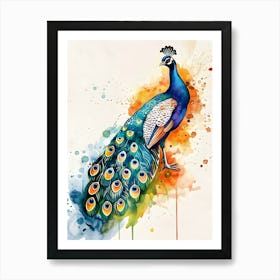 Peacock Watercolor Painting Art Print