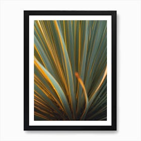 Saguaro Art Print