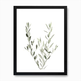 Botanical III Art Print