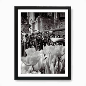 Amsterdam Tulips and Bike Art Print