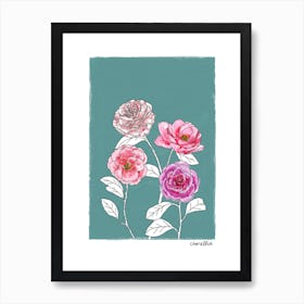 Camellias Art Print