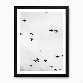 Flight And Freedom 04 Art Print